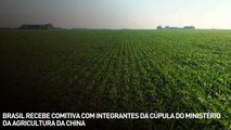 Brasil recebe comitiva com integrantes da cúpula do ministério da agricultura da China
