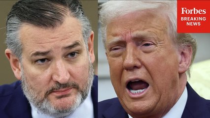 Ted Cruz Quoted By Top California Democrat To Promote Lawsuit Aiming To Block Trump's Tariffs