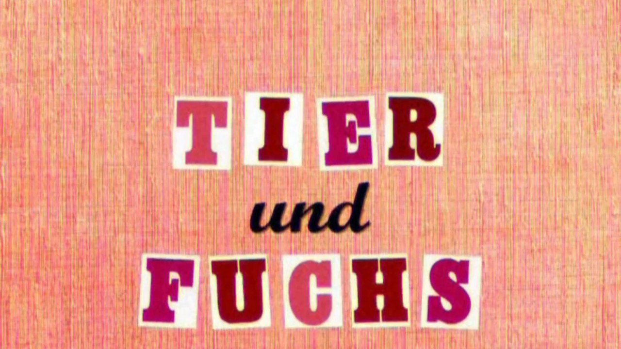 TRIXILAND - Magazin 1:  Trailer