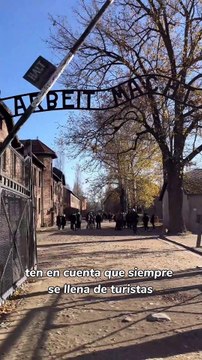 Auschwitz: errores que no debes cometer