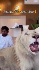 Camera man never dies