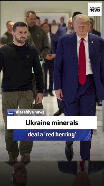 Former UK minister: UK minerals deal a red herring