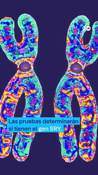 Pruebas de sexo en el deporte: ¿justas o degradantes?