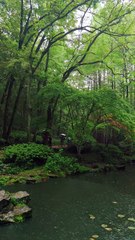 Hupao Park in the rain / Parc Hupao sous la pluie