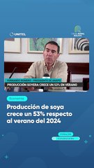 Producción de soya crece un 53% respecto al verano del 2024