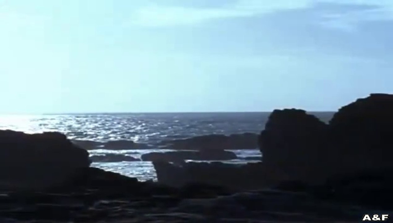 Rosamunde Pilcher -031- Möwen im Wind