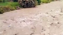 بني سويك جمورة في بسكرة