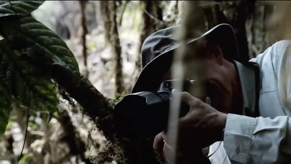 Το αλάτι της γης | movie | 1954 | Official Trailer