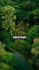 How The Lost Cities Of The Amazon Were Finally Found