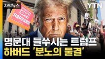 [자막뉴스] 트럼프에 반기 든 하버드대...美 대학가 '칼바람' / YTN