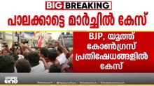പാലക്കാട്ടെ പ്രതിഷേധ മാർച്ച്; ബിജെപി-യൂത്ത് കോൺഗ്രസ് പ്രവർത്തകർക്കെതിരെ കേസ്