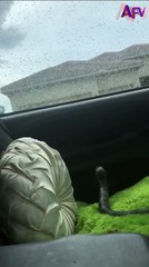 122. Worst Uber driver ever 🤣 #afv #prank #funny
