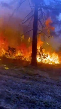 Images fournies par le SDIS 35