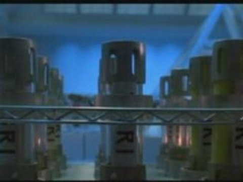 TORTUES NINJA DOUBLAGE :TU AURAS BOUKAK DE POILS!