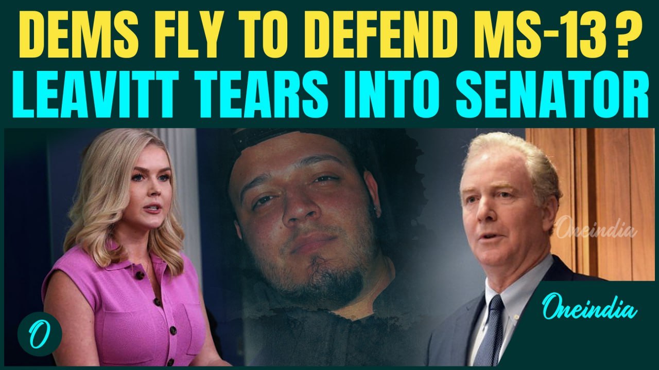 Democrats Defend an MS-13 THUG? Karoline Leavitt Lights Them Up in Explosive White House Presser