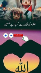 یا اللہ فلسطین کے مظلوم😪 مسلمانوں کی مددفرما اور ظالموں کو نشانے عبرت بنا دے آمین 😪😪😪😪😪😪😪😪😪😪😪