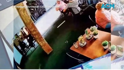 Kangaroo Crashes Birthday Lunch at Courthouse Hotel 🦘