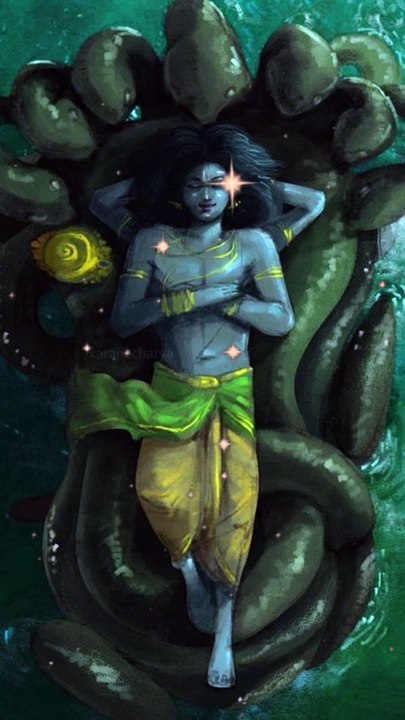 श्री हरि स्तोत्रम् Shri Hari Stotram #haristotram #jaishrihari #hariom #lakshminarayan #vishnumantra