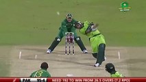 Top Biggest Sixes of Boom Boom Shahid Afridi