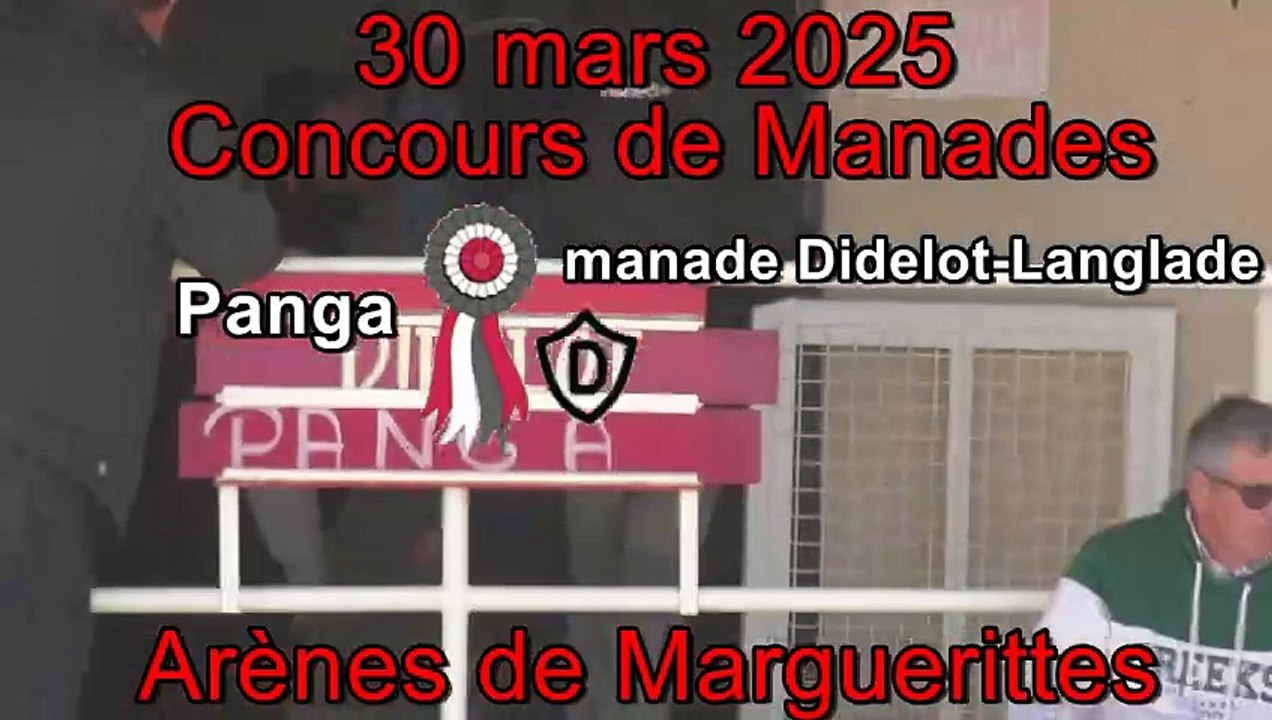 2025 03 30 Panga