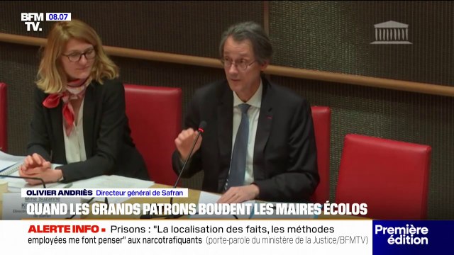 Coup de gueule du patron de Safran: quand les grands patrons boudent les maires écolos