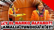 ¡¿Y EL NARKO ALFARO! ¡LA CHAPULINA AMALIA es DESTRUIDA por SILVIA ROBLES por USAR a DESAPARECIDOS!