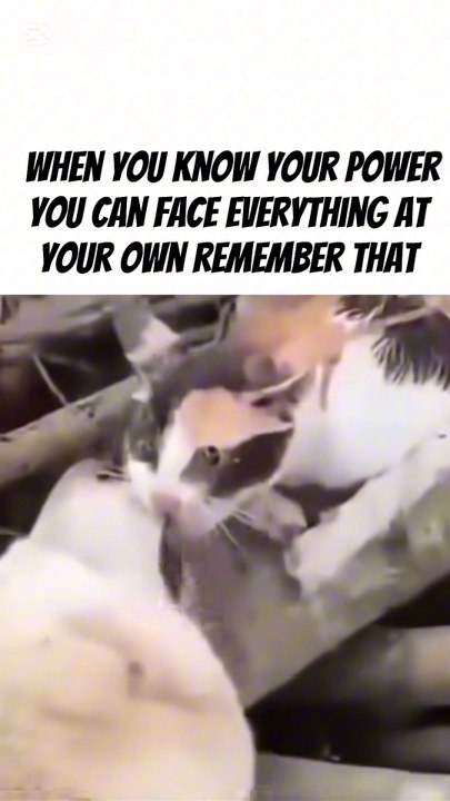 Facts