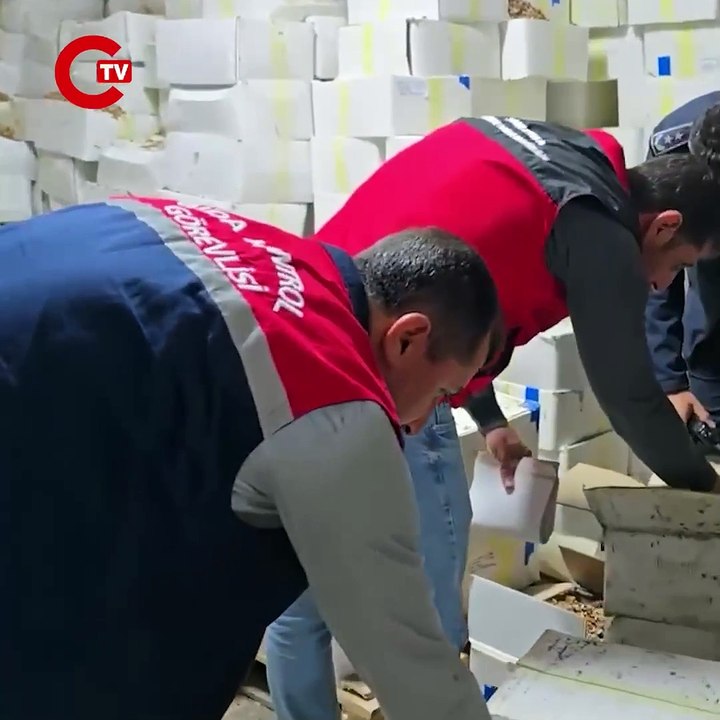 Baklava imalathanesinde skandal olay: Tonlarca küflenmiş ceviz ele geçirildi!