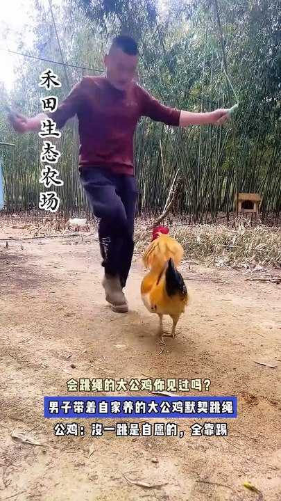 The cock jumped rope with his master very tacitly, and the kitten fell asleep, but its tail kept swinging.