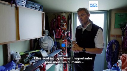Les glaciers de Suède et de Norvège fondent inexorablement, avertissent les experts