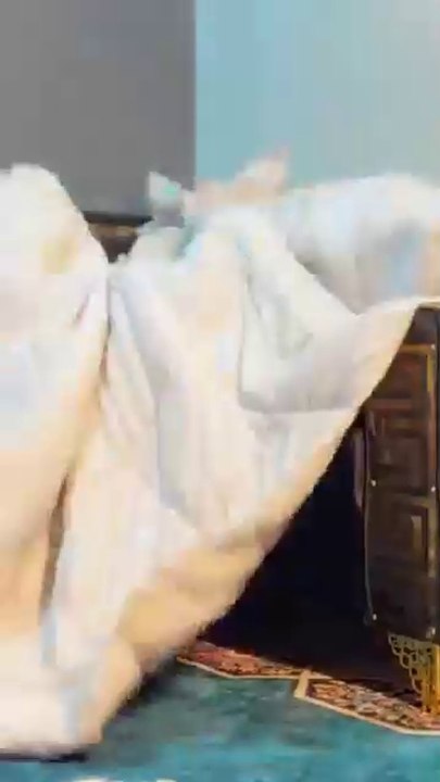 Small Child, Big Laughs! 😂🤣 | Hilarious Moments That Will Melt Your Heart#viral+#funny+#shorts+#foryou+#comedy