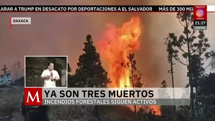 Incendio forestal en Oaxaca suma 3 muertos, un menor de edad y dos adultos