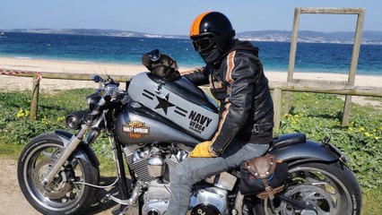 Pup rides with owner in his own custom-built motorcycle pod