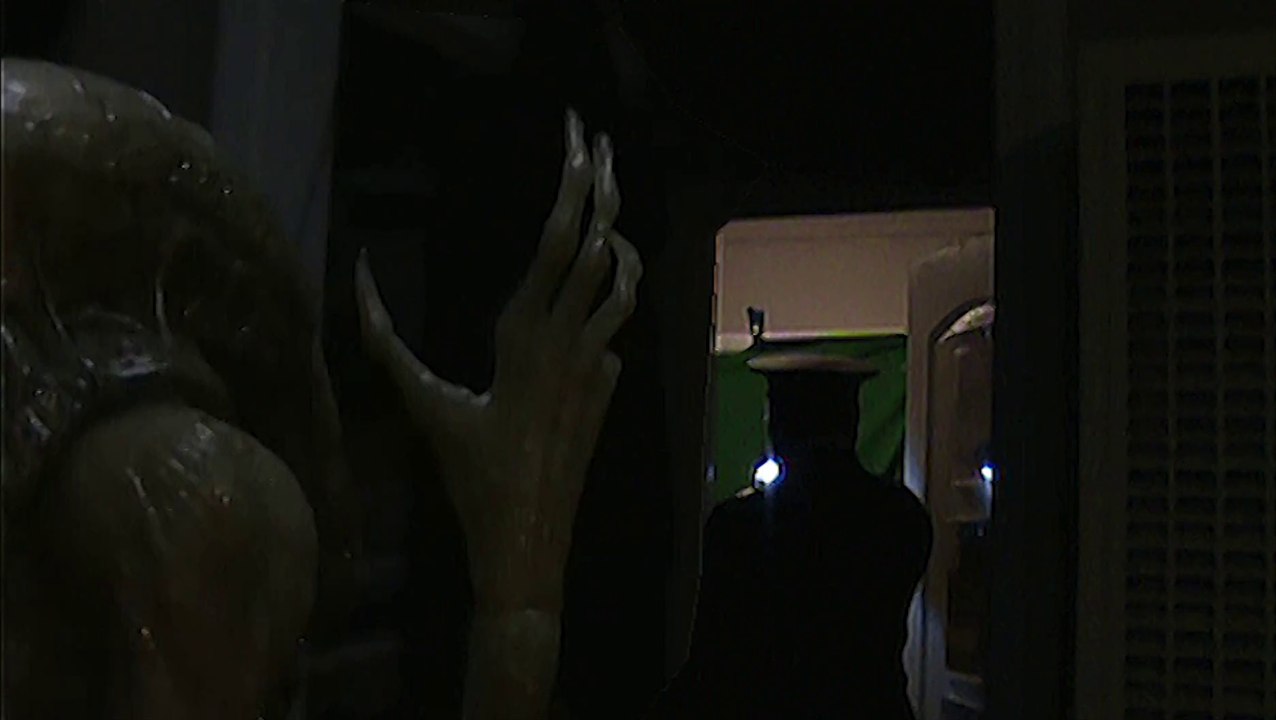 Something in the Dark #2