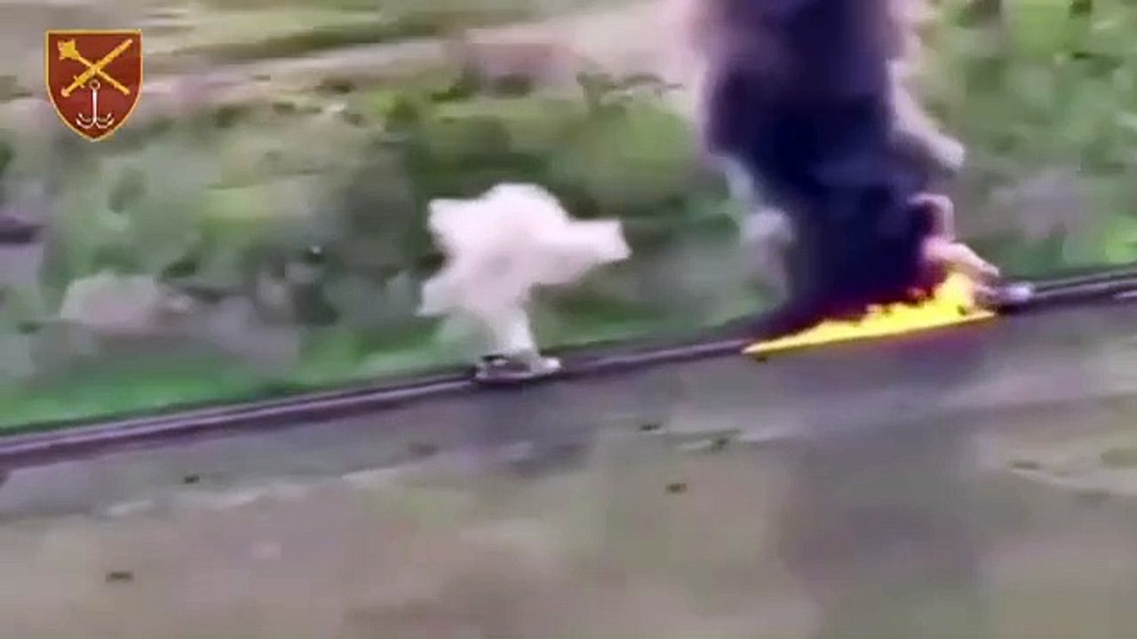 The Armed Forces of Ukraine repelled a massive Russian assault on the Zaporizhia direction