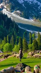 Beautiful view Kashmir Valley