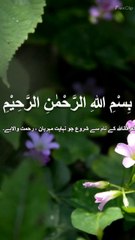 Al Qosour/ quran/ quran pak/ qosour/ al qosour morning