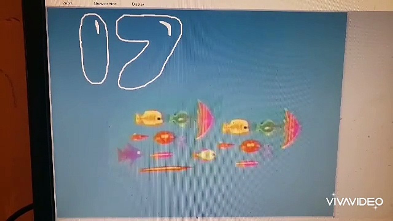 17 Fish (1998)