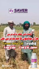 Foot Print The Best Weed Killer of Sugarcane