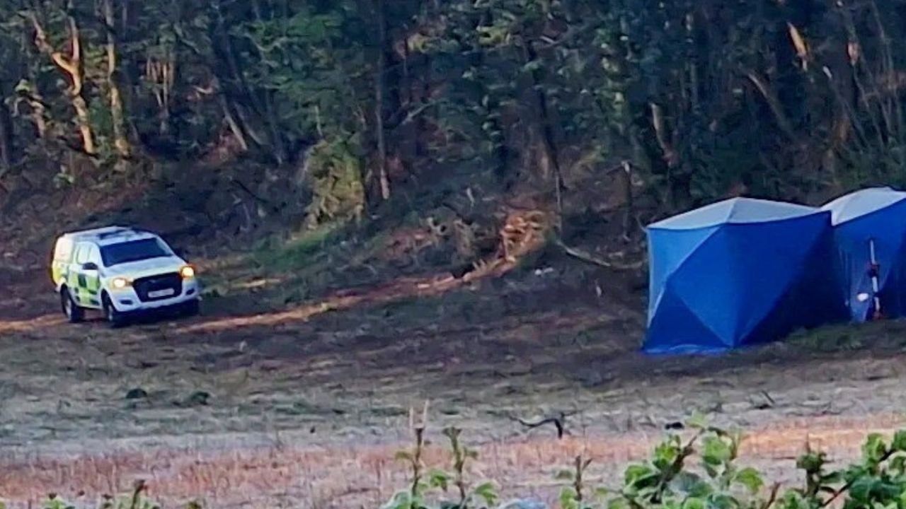 Police launch probe after 'skeletal remains' found in woodland near marina
