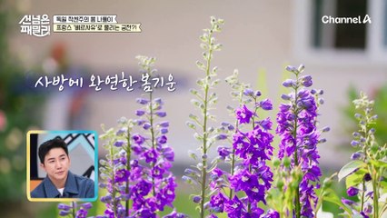 100년 넘은 꽃들로 가득한 정원! 독일의 '베르사유'로 불리는 작센주의 '필니츠 궁전'