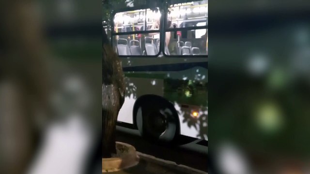 Passageiros fogem após homem completamente nu invadir ônibus coletivo em Patos de Minas