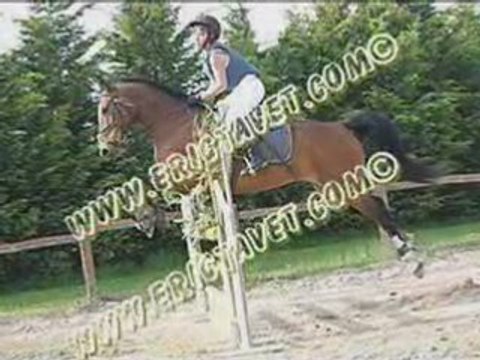 Concours de saut à Taravas le 4 mai