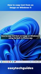How to copy text from an image on Windows 11
