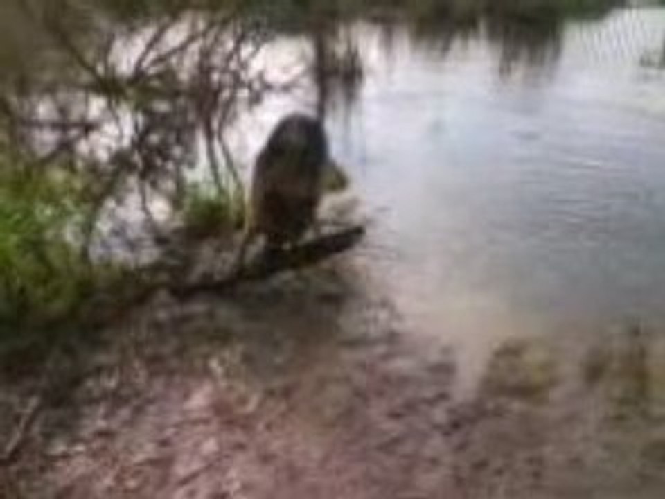 MOV01164