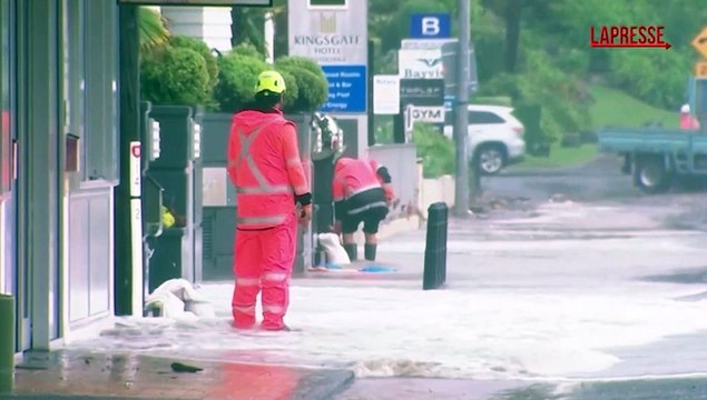Nuova Zelanda: tempesta nell'Isola del Nord: alberi sradicati e inondazioni