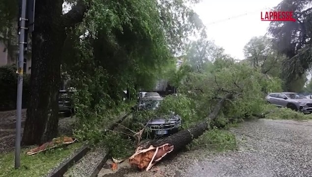 Forti raffiche di vento a Milano: diversi alberi caduti sulle auto parcheggiate