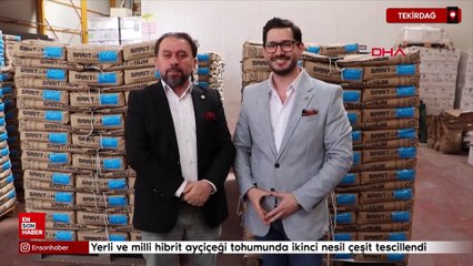 Tekirdağ'da yerli ve milli hibrit ayçiçeği tohumunda ikinci nesil çeşit tescillendi