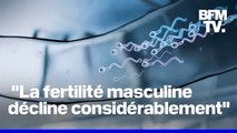 États-Unis: une startup organise une course de spermatozoïdes pour sensibiliser au déclin de la fertilité masculine