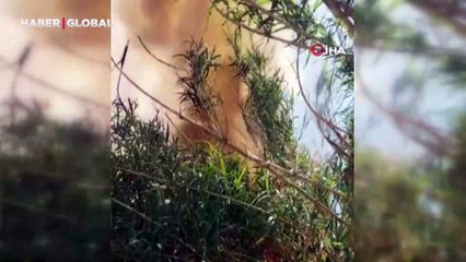 Arsuz'da sazlık yangını